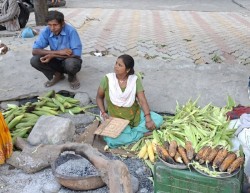 रौतहटकी सुशीला मकै पोलेर आत्मनिर्भर