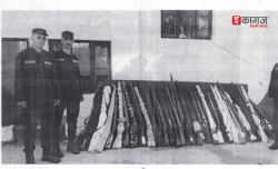 जेनजी आन्दोलनमा लुटिएको पेस्तोल र गोली बरामद