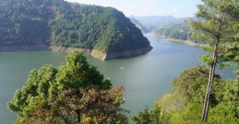 विषादी मिसिएको पानीले कुलेखानीको माछा उत्पादनमा ह्रास