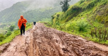 हिलाम्मे सडकले ढोरपाटन आउने पर्यटकलाई सास्ती