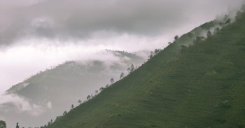 इलाममा १४६ मिलिमिटर वर्षा, पूर्वी नेपालमा मनसुन सक्रिय