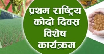 लमजुङ क्याम्पसमा पहिलो राष्ट्रिय कोदो दिवस मनाइने