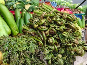 विपी राजमार्गले खोलेको सम्भावना: महाभारत क्षेत्रको कृषि उत्पादनले पायो नयाँ बजार