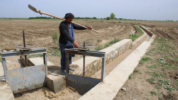 सिँचाइका रुग्ण ठेक्का तोडिँदै