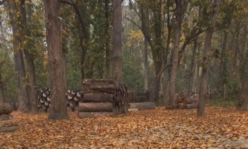 कञ्चनपुरमा डढेलोको जोखिम बढ्दो, पूर्वतयारी कमजोर