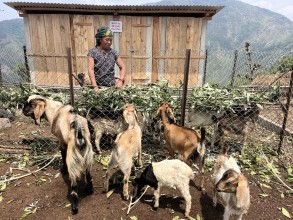 सीमान्तकृतलाई आयआर्जन कार्यक्रम