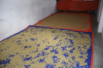बागलुङको छुर्पीको माग उच्च भएपछि उत्पादन बढ्यो
