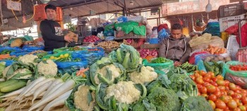 यस्तो छ आज सागसब्जी र फलफूलको थोक मूल्य