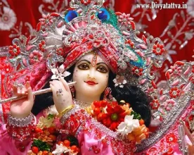 श्रीकृष्ण जन्माष्टमी धूमधामसँग मनाइँदै