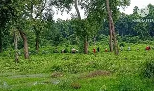 सुदूरपश्चिममा वन उपभोक्ता समूहको आन्दोलन स्थगित, समस्या समाधानका लागि १३ सदस्यीय कार्यदल गठन