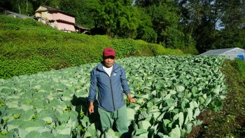 ‘अहिलेसम्म टिकोटमा रासायनिक मल   भित्रिएको छैन’