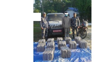 सुनसरीमा सशस्त्रद्वारा हवाई फायर, १५३ किलो गाँजा बरामद