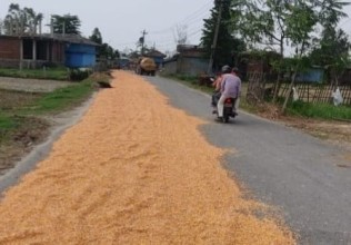कालोपत्रे सडकमा ‘बिस्कुन’, दुर्घटनाको जोखिम बढ्यो