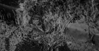 बुटवलमा श्रीमतीको चक्कु प्रहारबाट नगर प्रहरी कर्मचारी गम्भीर घाइते