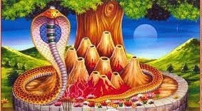 आज नागपञ्चमी: जैविक विविधता र सांस्कृतिक परम्पराको संरक्षण गर्ने पर्व