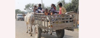 देखिन छाडे  गोरुगाडा