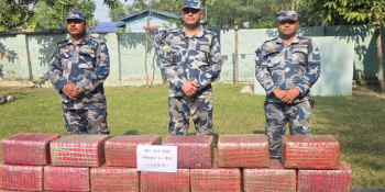 सशस्त्र प्रहरीले पर्साबाट २१३ केजी गाँजा बरामद