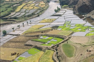 कर्णाली प्रदेशमा कृषि बालीले ढाकेको भूमि घट्यो