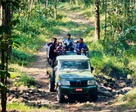 जङ्गल सफारीसँगै बाँके निकुञ्जमा पर्यटकको चहलपहल बढ्यो