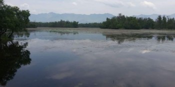 कञ्चनपुरका सीमसार तथा ताल तलैयाको अस्तित्व सङ्कटमा