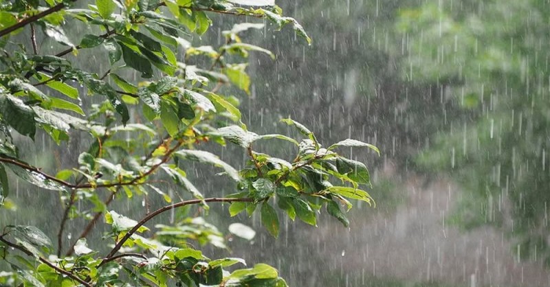 अरब सागरबाट जलवाष्पयुक्त हावाको प्रभाव : यी प्रदेशमा भारी वर्षाको सम्भावना