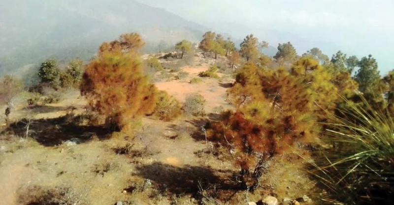 बैतडीकाे मेलौनीमा औद्योगिक ग्रामको काम चार वर्षदेखि अलपत्र