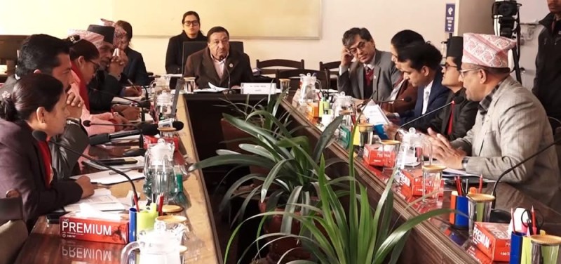 आज चार संसदीय समिति बस्दै, वैकल्पिक विकास वित्तदेखि नागरिकता विधेयकसम्मको छलफल