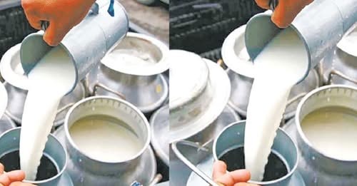 लमजुङका किसानलाई दुध उत्पादनमा प्रतिलिटर ५ रुपैयाँ अनुदान