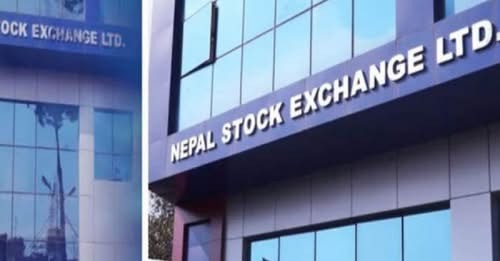 अब नेप्से वेबसाइटमै हेर्न सकिने ब्रोकर कम्पनीहरूको मासिक र वार्षिक कारोबार विवरण