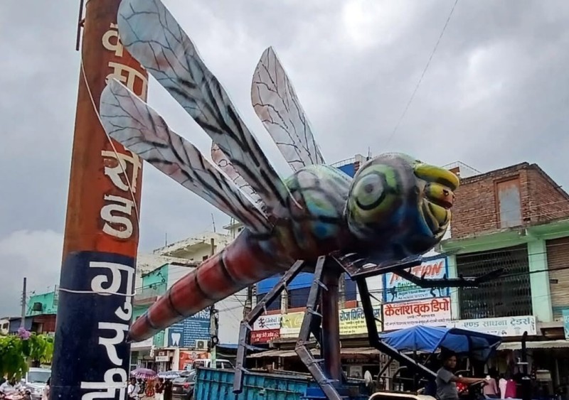 धनगढीको ठडियो थारु संस्कृतिको प्रतीक ‘गुरही’