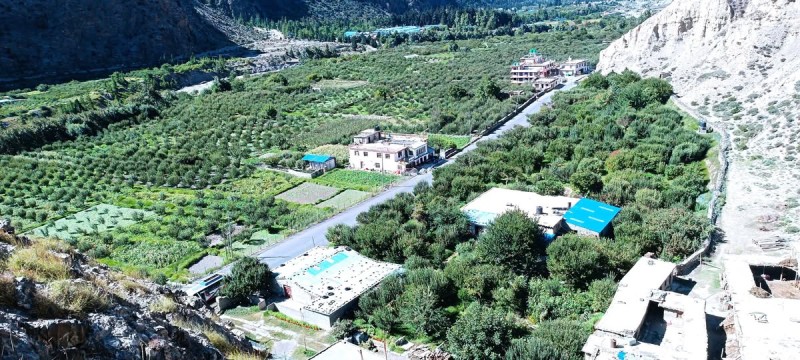 मुस्ताङको घरपझोङ गाउँपालिका–२ स्थित तल्लो मार्फा गाउँ र हरियाली देखिएको स्याउ बगैँचा