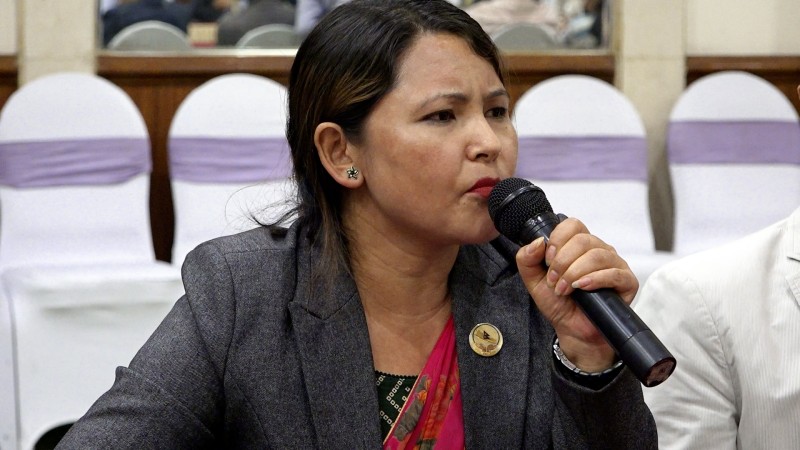 सरकारले निजी क्षेत्रका उर्जा उद्योगलाई आतंकित बनाउँदै छ : सभापति सिंह