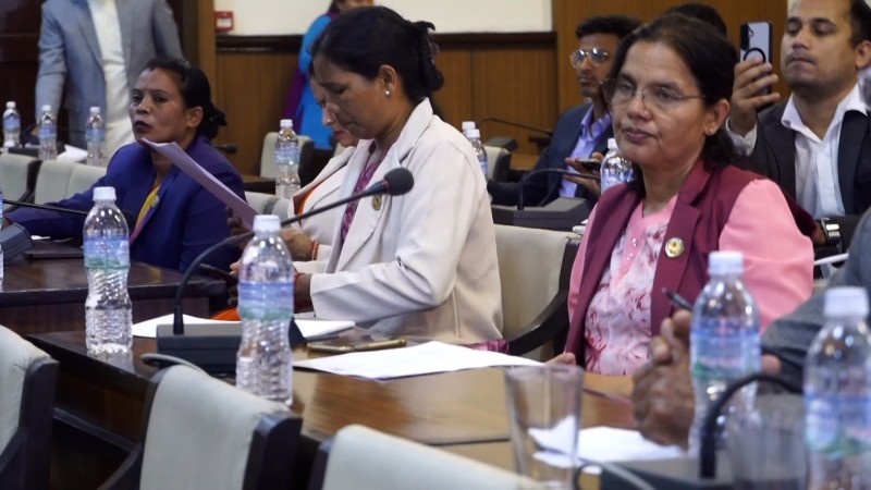 अहिलेको बजेटमा युवा जनशक्तिलाई देशमा रोक्ने योजना छैनन :दिपक बहादुर सिंह