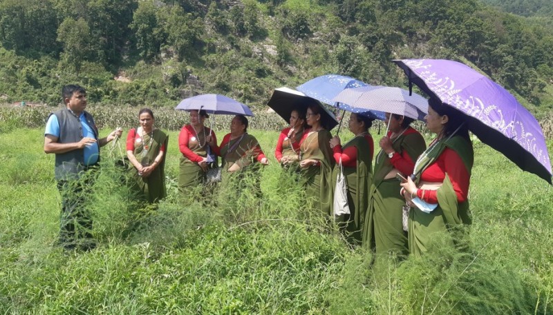 कविराजको व्यवसाय अरूका लागि पाठशाला