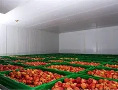 ठिनीमा स्याउ चिस्यान गृह निर्माण