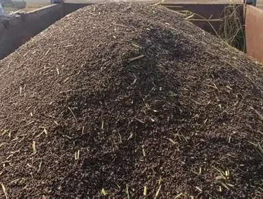 कालानमक धानको जात लोप हुँदै