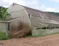 हाइटेक टनेल’ बनाउन दुई करोडभन्दा बढी अनुदान