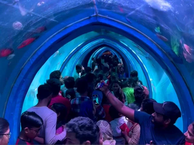 ललितपुर एक्स्पो "फिस टनेल" जानेकि नजाने, -आर्यभ ढकाल