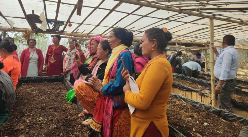 जैविकखेती प्रवर्द्धन गर्न गड्यौला मल उत्पादनमा जोड दिँदै पौवादुङमा