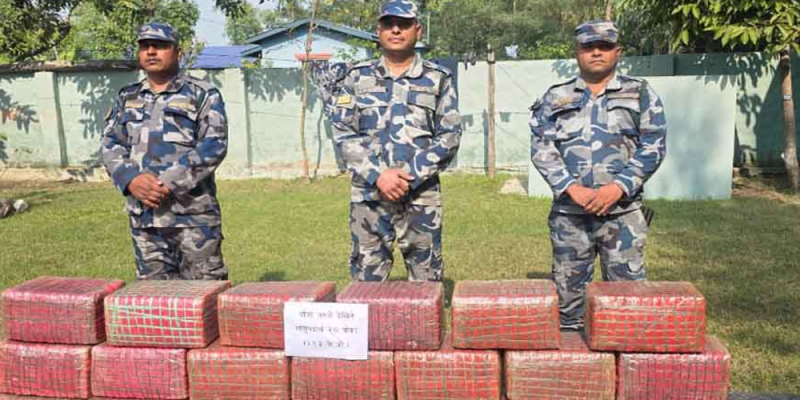 सशस्त्र प्रहरीले पर्साबाट २१३ केजी गाँजा बरामद
