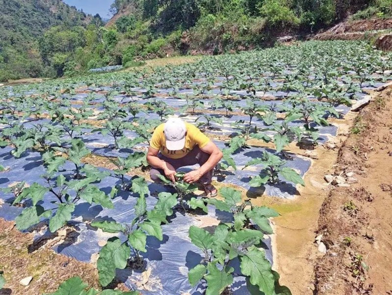 किसानलाई अधिकतम दुई लाखसम्म अनुदान