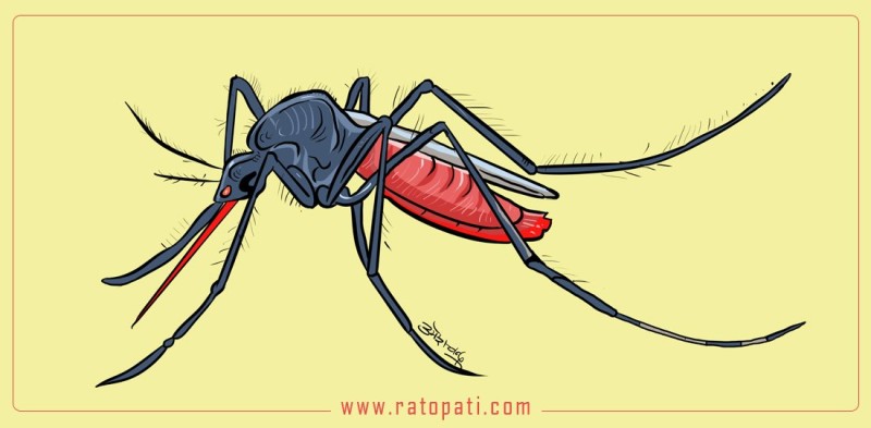 देशभर डेंगुको संक्रमण बिस्तारै भयावह, ६ महिनामै २२ सयभन्दा बढी संक्रमित!७३ जिल्लामा फैलियो डेंगु, स्वास्थ्य मन्त्रालय सतर्क