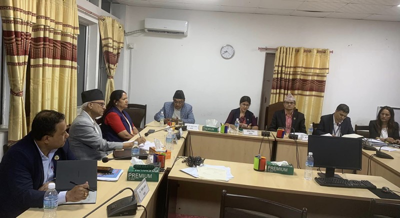 सहकारी ठगिमा भदौ ७ गते रवि लामिछानेको बयान 
